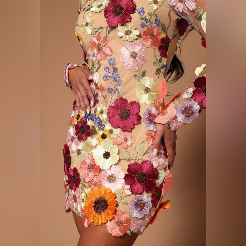 Fashion Nova Luxe Emmaline Embroidered Mini Dress-Nude/Combo-Size Large NWT💐🌸🌹🌷 - Picture 3 of 7